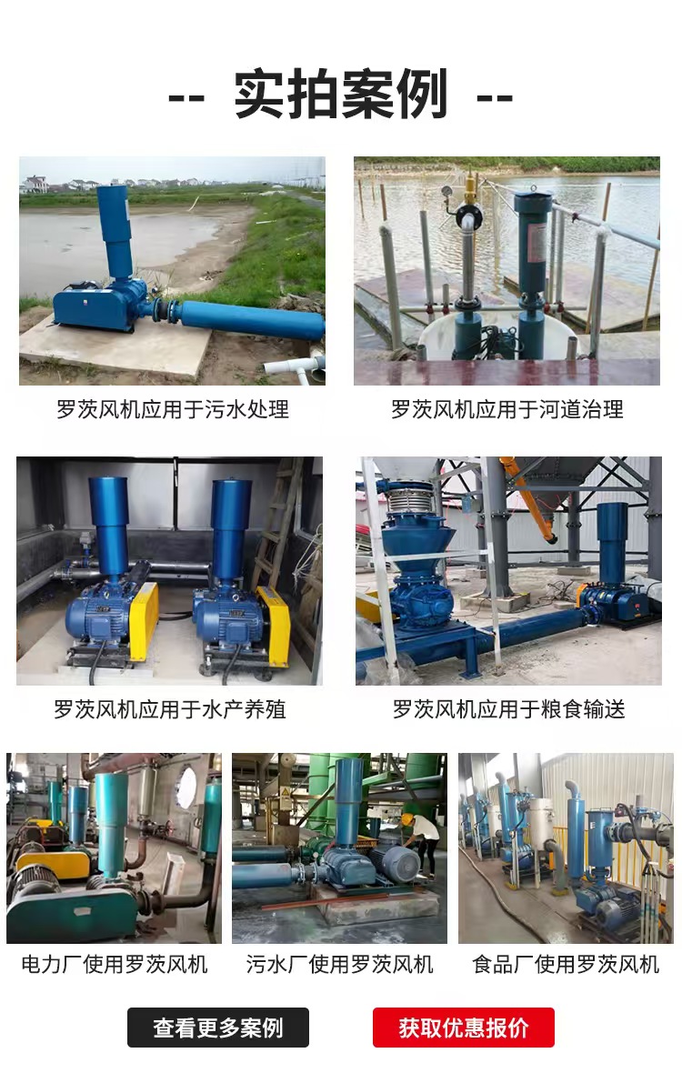 水产养殖罗茨风机
